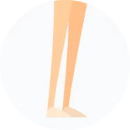 Nogi - Układ żylny